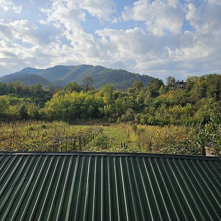 Guesthouse - Family Hotel Bagdati 외부 사진